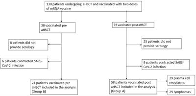Immunogenicity of SARS-CoV-2 vaccination in patients undergoing autologous stem cell transplantation. A multicentric experience
